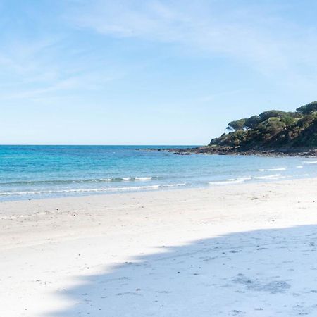 I Pini Di Fuile 'E Mare Apartamento Orosei Exterior foto