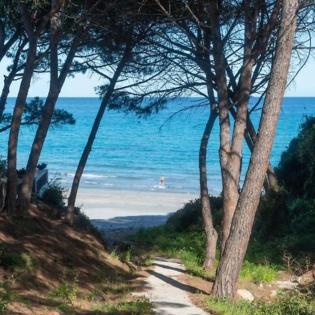 I Pini Di Fuile 'E Mare Apartamento Orosei Exterior foto